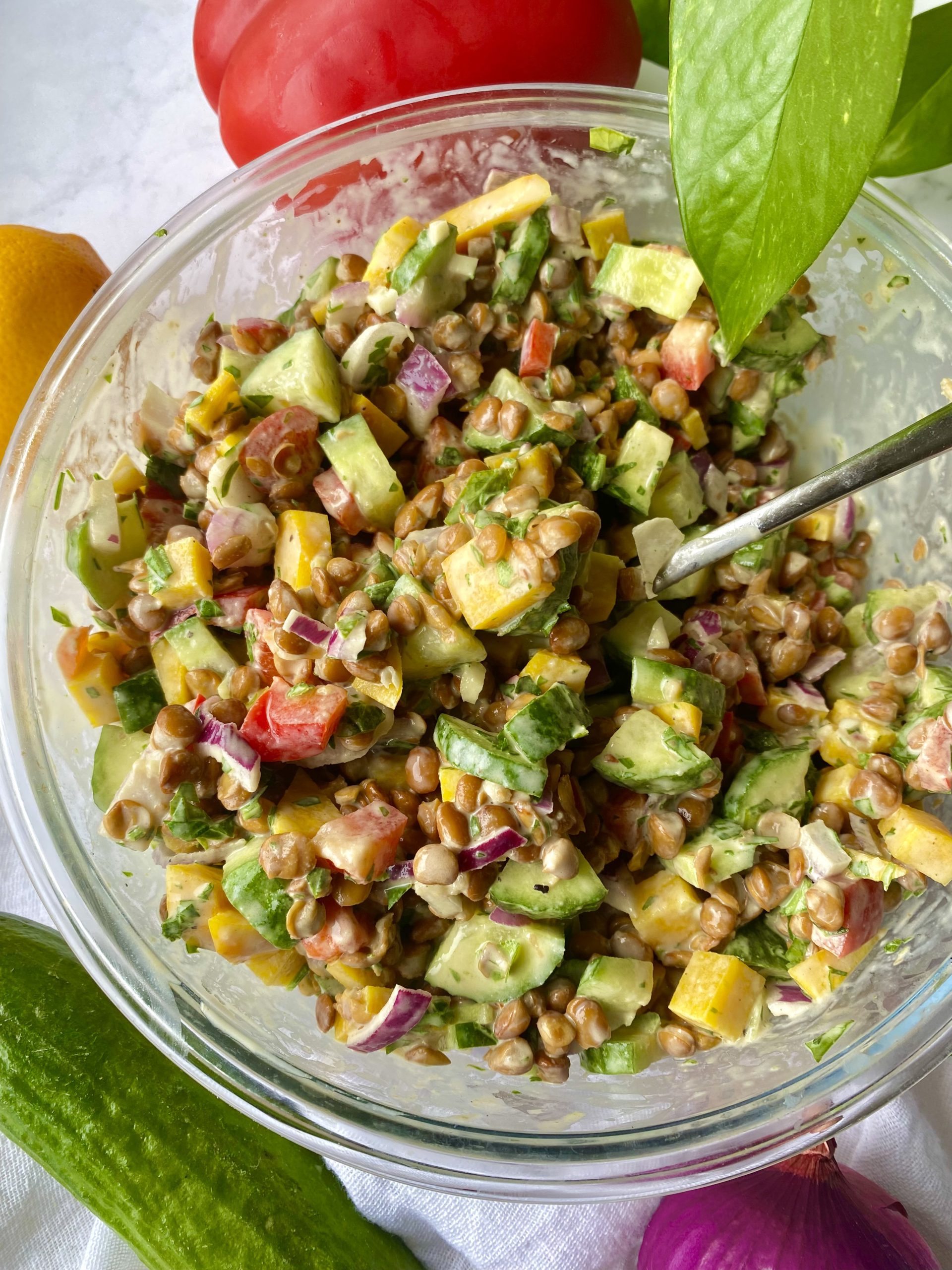 Lentil Salad with Oil Free Tahini Dressing